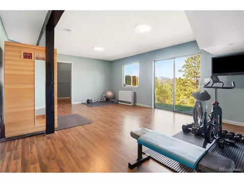 Other - 153 Chickadee Ln, Bailey, CO 80421 photo 5 of 11