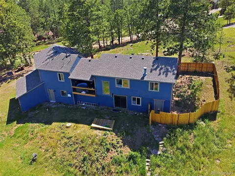 Other - 153 Chickadee Ln, Bailey, CO 80421 photo 10 of 11