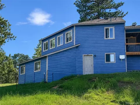 Exterior - 153 Chickadee Ln, Bailey, CO 80421 photo 6 of 7