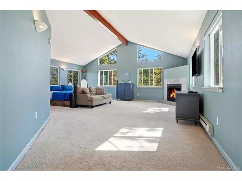 Other - 153 Chickadee Ln, Bailey, CO 80421 photo 3 of 11