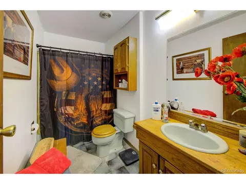 172 Quartz Rd, Black Hawk, CO 80422 photo 11