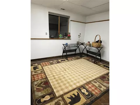 172 Quartz Rd, Black Hawk, CO 80422 photo 24