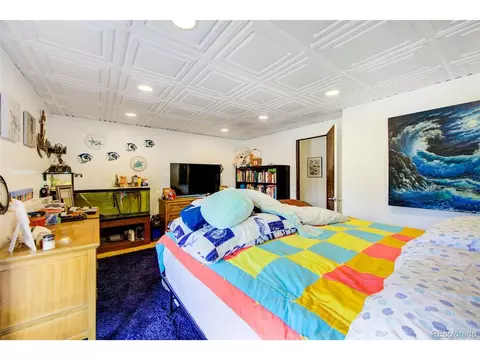 172 Quartz Rd, Black Hawk, CO 80422 photo 20