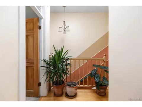 1107 E 11th Ave, Denver, CO 80218 photo 27