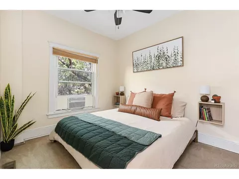 1107 E 11th Ave, Denver, CO 80218 photo 33