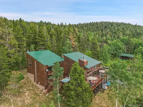 31112 Shadow Mountain Dr, Conifer, CO 80433 photo 8