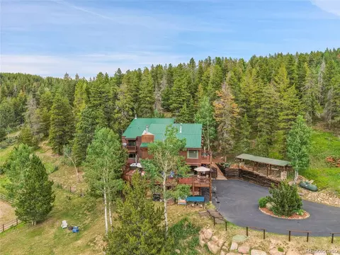 31112 Shadow Mountain Dr, Conifer, CO 80433 photo 5
