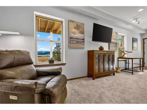 Living - 2189 Middle Fork Vis, Fairplay, CO 80440 photo 8 of 8