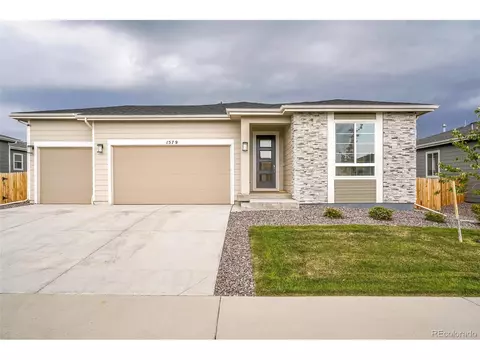 1579 Maggie Mae Ln, Castle Rock, CO 80104