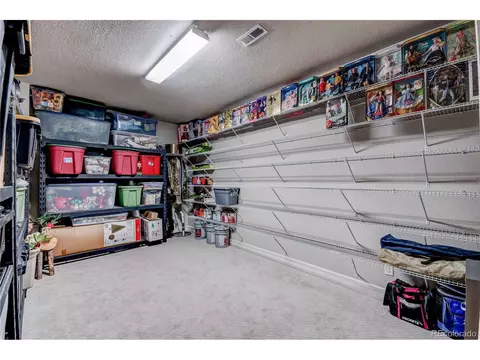 25854 E Alder Pl, Aurora, CO 80016 photo 38