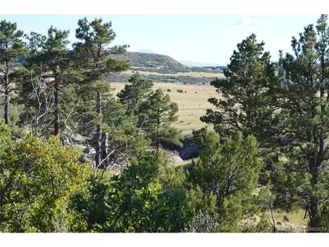 Undisclosed, Rye, CO 81069 photo 3