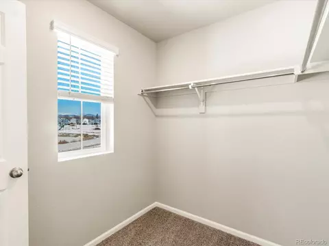229 Mayfly Ln, Berthoud, CO 80513 photo 30
