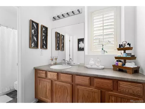 8099 E 28th Pl, Denver, CO 80238 photo 29