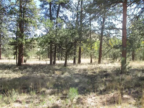 166 Haystack Rd, Hartsel, CO 80449 photo 5