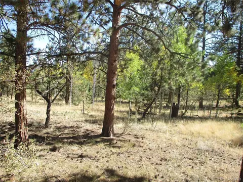 166 Haystack Rd, Hartsel, CO 80449 photo 9