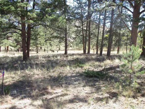 166 Haystack Rd, Hartsel, CO 80449 photo 2