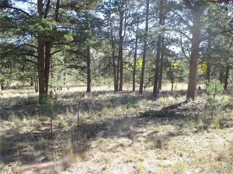 166 Haystack Rd, Hartsel, CO 80449 photo 1