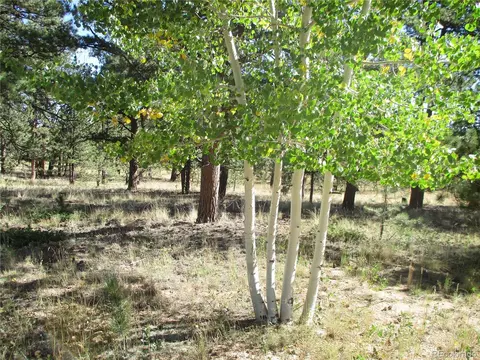 166 Haystack Rd, Hartsel, CO 80449 photo 3