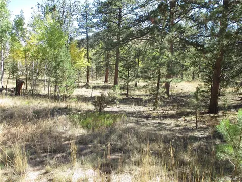 166 Haystack Rd, Hartsel, CO 80449 photo 11