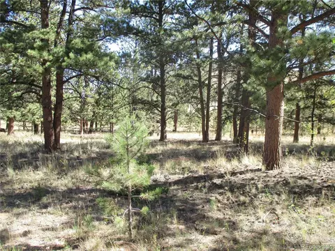 166 Haystack Rd, Hartsel, CO 80449 photo 16