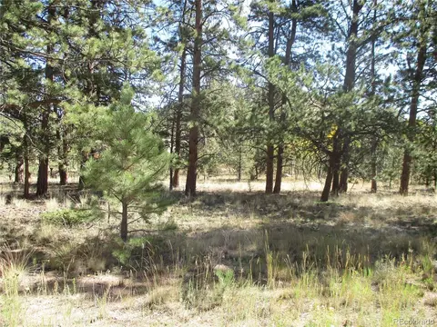 166 Haystack Rd, Hartsel, CO 80449 photo 4