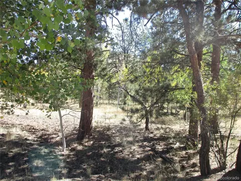 166 Haystack Rd, Hartsel, CO 80449 photo 8