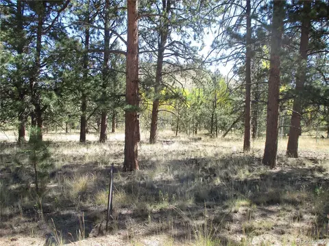 166 Haystack Rd, Hartsel, CO 80449 photo 6
