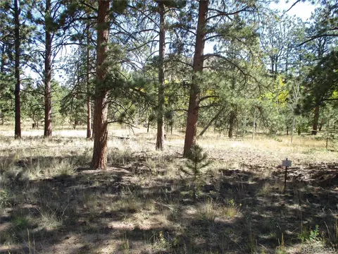 166 Haystack Rd, Hartsel, CO 80449 photo 7
