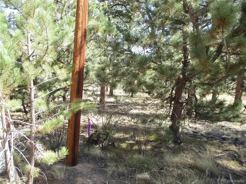 166 Haystack Rd, Hartsel, CO 80449 photo 13