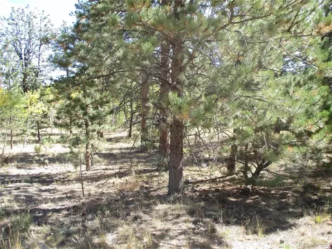 166 Haystack Rd, Hartsel, CO 80449 photo 12