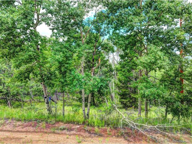174 Elk View Rd, Lake George, CO 80827
