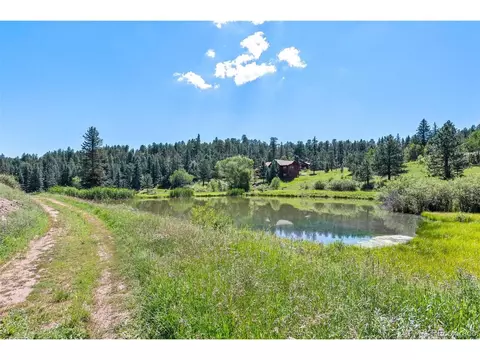 33903 Martin Rd, Pine, CO 80470 photo 35