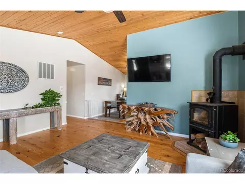 33903 Martin Rd, Pine, CO 80470 photo 8