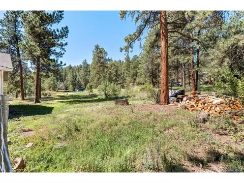 33903 Martin Rd, Pine, CO 80470 photo 34