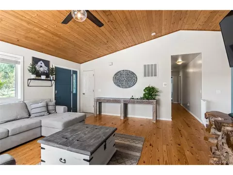 33903 Martin Rd, Pine, CO 80470 photo 7