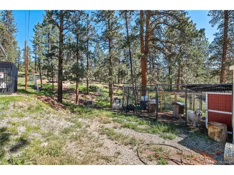 33903 Martin Rd, Pine, CO 80470 photo 33