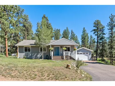 33903 Martin Rd, Pine, CO 80470 photo 2