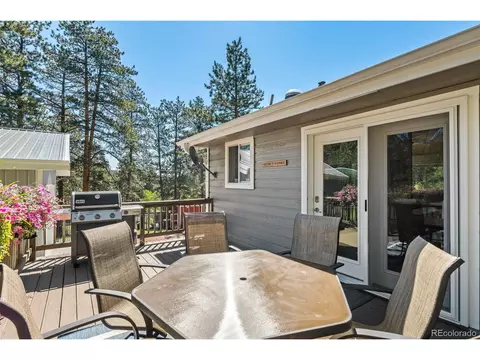 33903 Martin Rd, Pine, CO 80470 photo 23