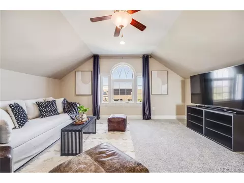 8156 E 35th Ave, Denver, CO 80238 photo 22