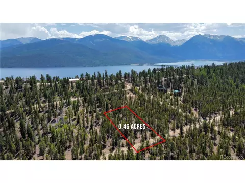332 Mt Massive Dr, Twin Lakes, CO 81251