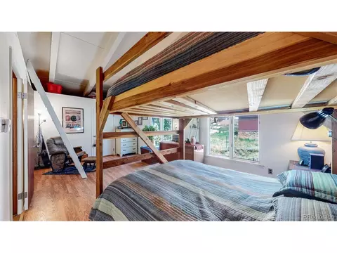 1090 Griffith St, Georgetown, CO 80444 photo 21