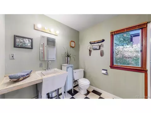 1090 Griffith St, Georgetown, CO 80444 photo 14
