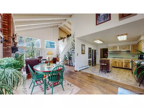 1090 Griffith St, Georgetown, CO 80444 photo 7