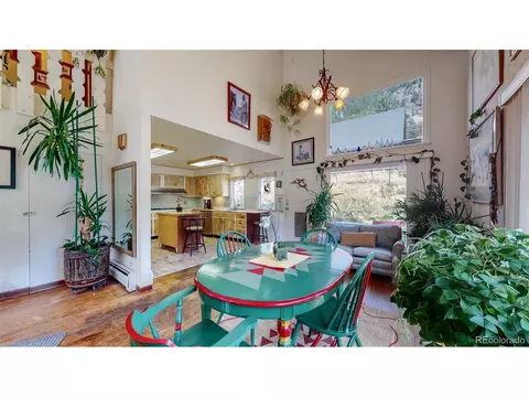 1090 Griffith St, Georgetown, CO 80444 photo 8
