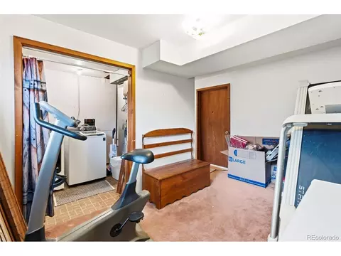 Other - 541 Sycamore Dr, Windsor, CO 80550 photo 4 of 7