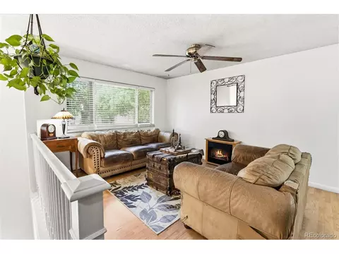 Living - 541 Sycamore Dr, Windsor, CO 80550 photo 5 of 5