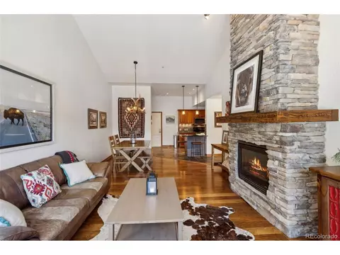 Undisclosed, Frisco, CO 80443 photo 14