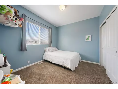 7674 Loopout Grv, Peyton, CO 80831 photo 18