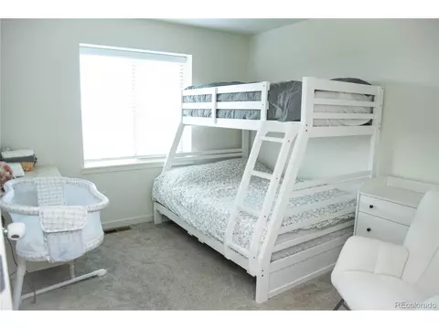 9841 E 56th Pl, Denver, CO 80238 photo 18