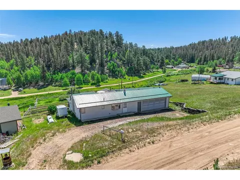 48 Dogie Trl, Florissant, CO 80816